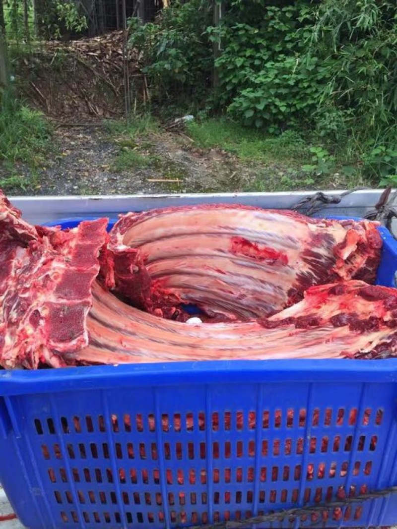 牛肉干