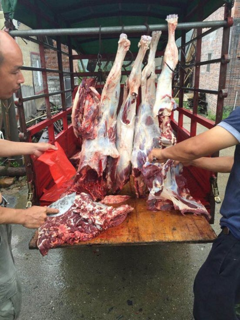 牛肉干