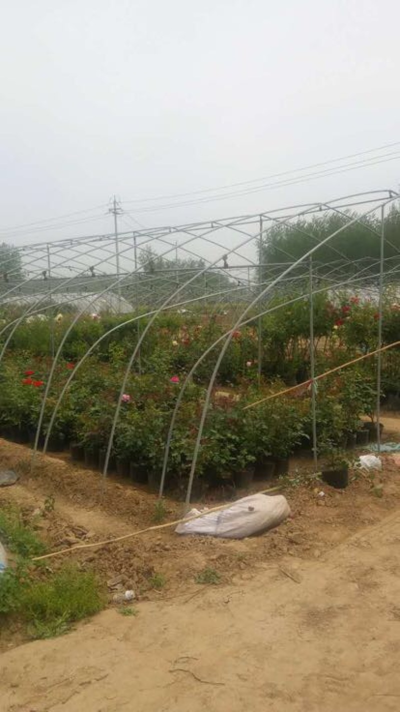 大棚骨架蔬菜养殖温室大棚全套含薄膜卷膜热镀锌