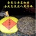 福鼎白茶