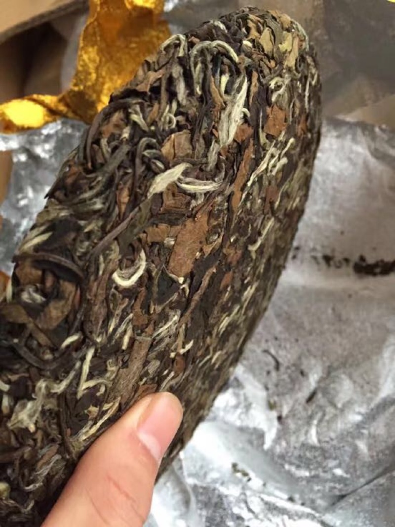 福鼎白茶