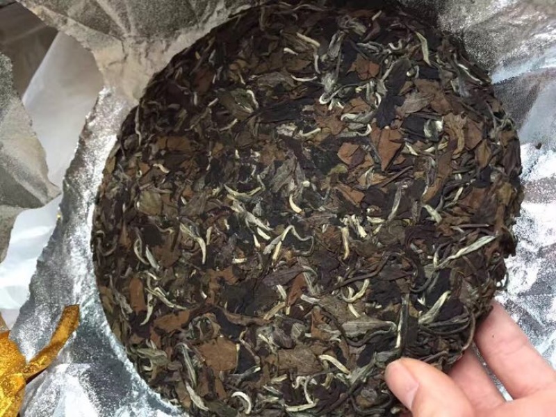 福鼎白茶