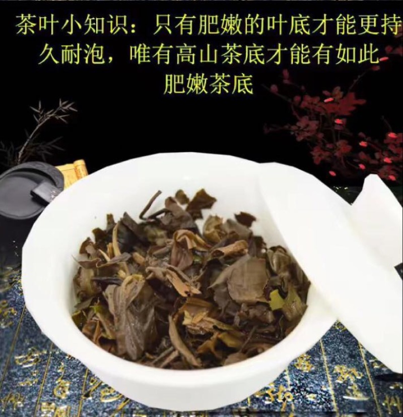福鼎白茶