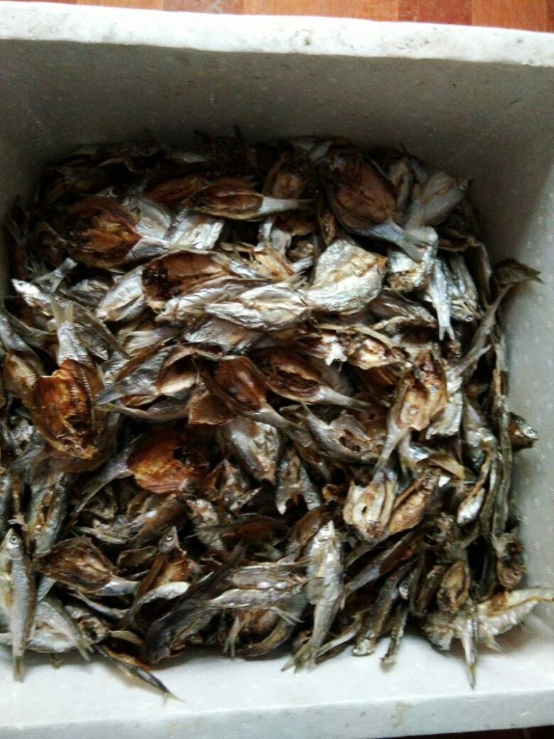鱼干烤鱼干