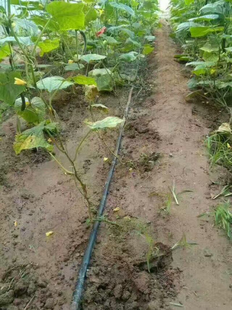 侧翼迷宫滴灌带LDPE