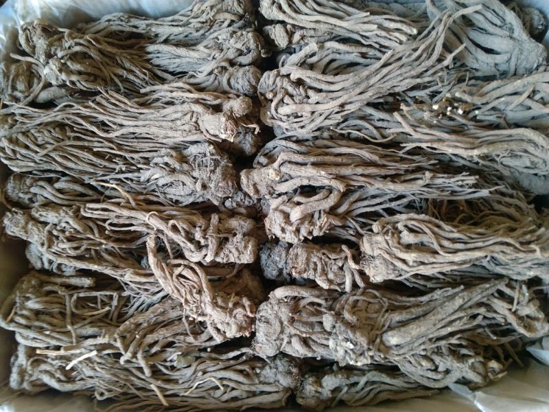 当归个子天然无硫水洗干货量大从优