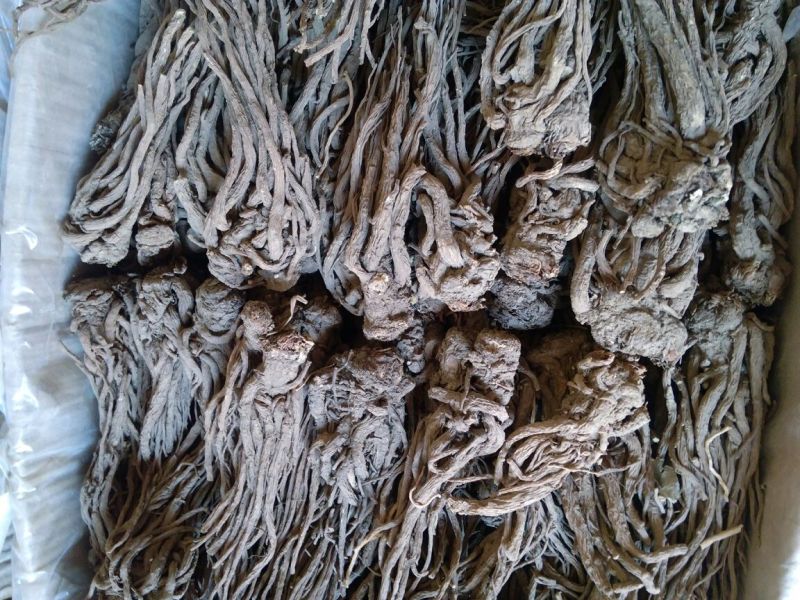 当归个子天然无硫水洗干货量大从优