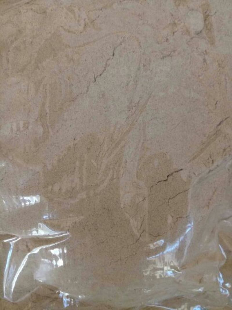 猪胆粉浙江干货散装1斤起包邮量大从优
