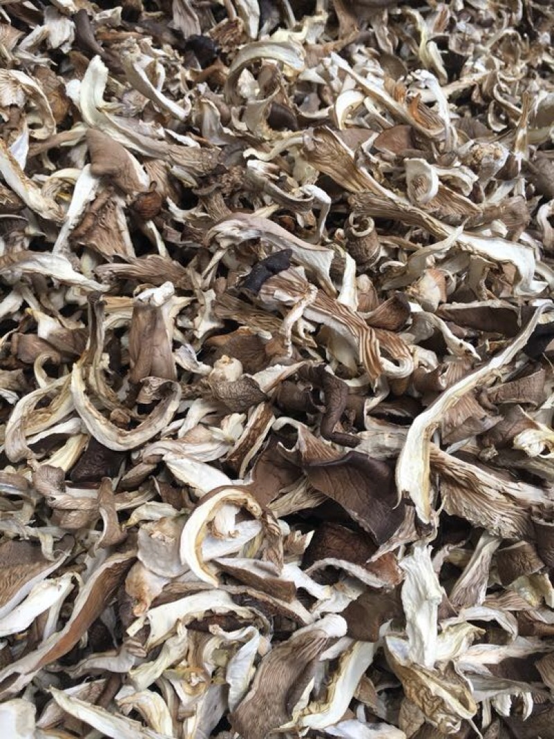 干平菇平菇条云南食用菌批发平菇菌