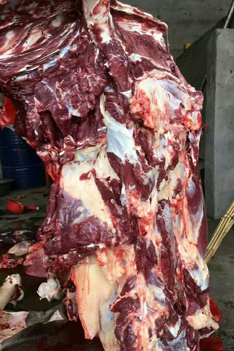 [精选]驴肉鲜货货量充足规格齐全包邮到家