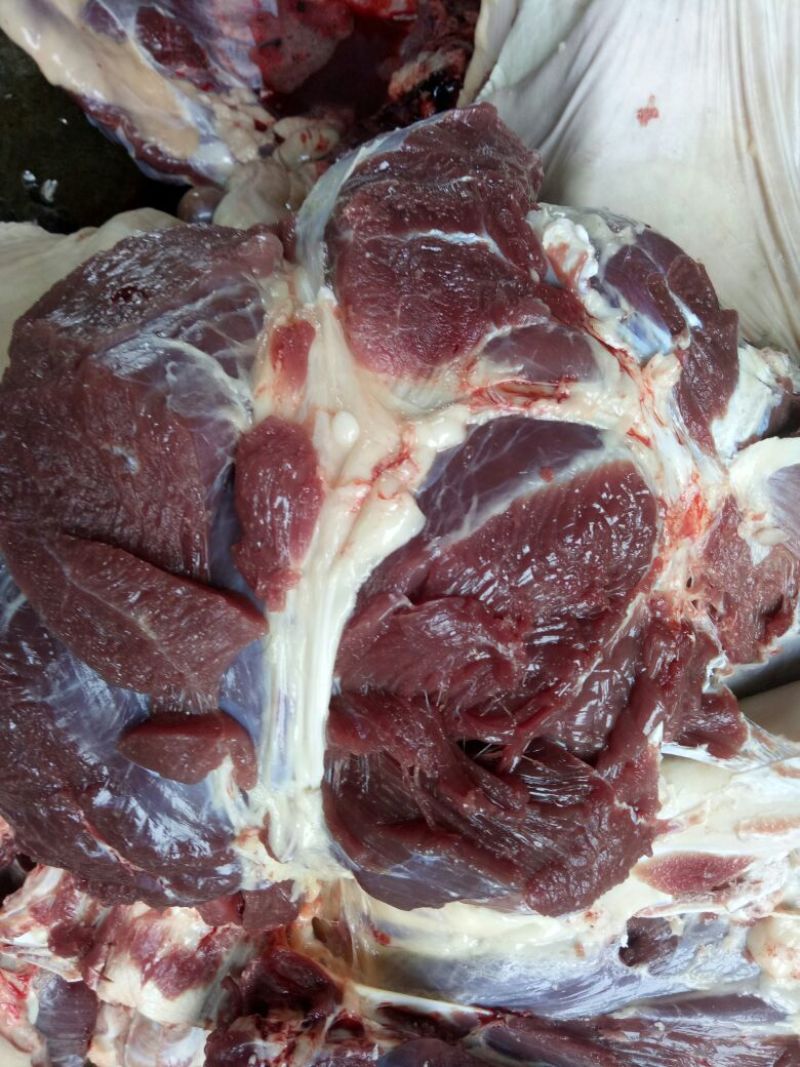 [精选]驴肉鲜货货量充足规格齐全包邮到家