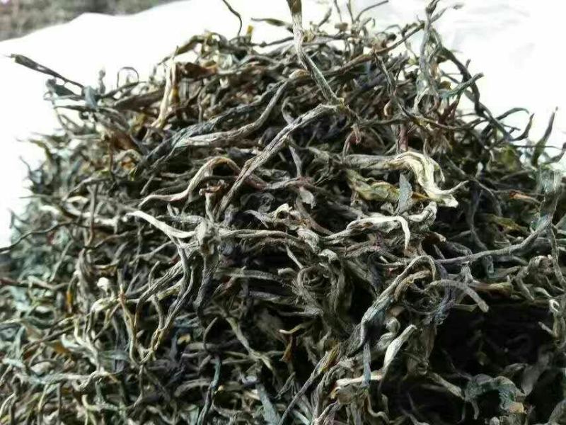 普洱茶三级