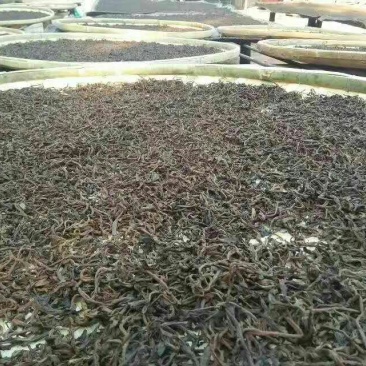 普洱茶三级