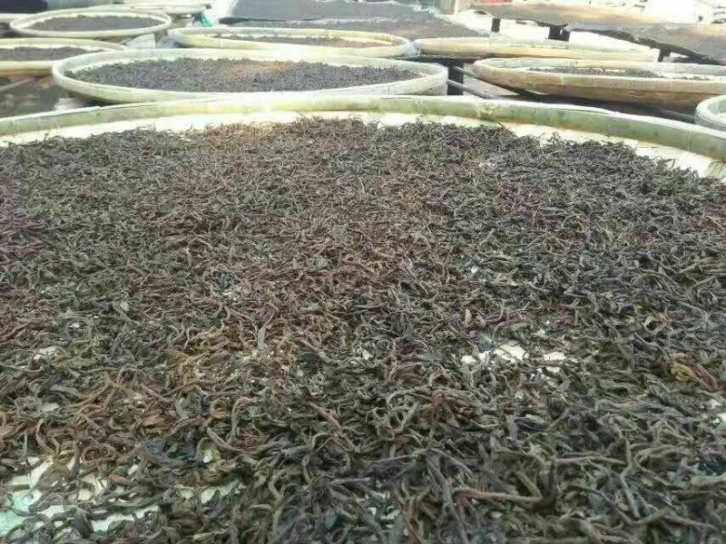 普洱茶三级