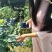 野生蓝莓鲜果6~8mm以上