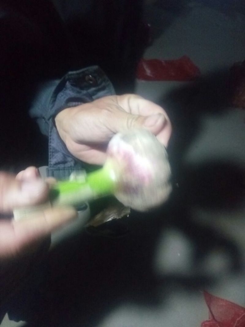 大蒜干蒜