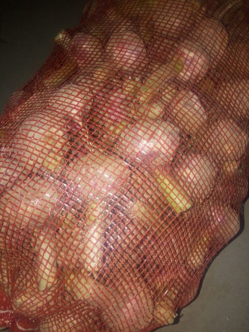 大蒜干蒜