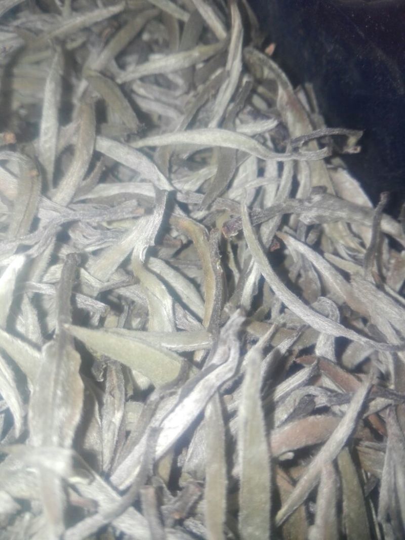 普洱茶特级