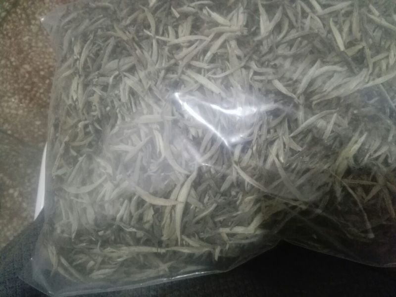 普洱茶特级