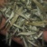 普洱茶特级
