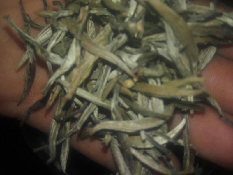 普洱茶特级