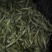 普洱茶特级