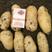 土豆黄皮黄心产地一手货源，对口市场商超代发全国