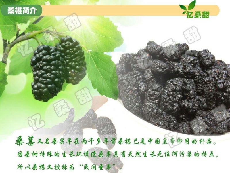 桑葚干