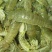 皮皮虾活虾