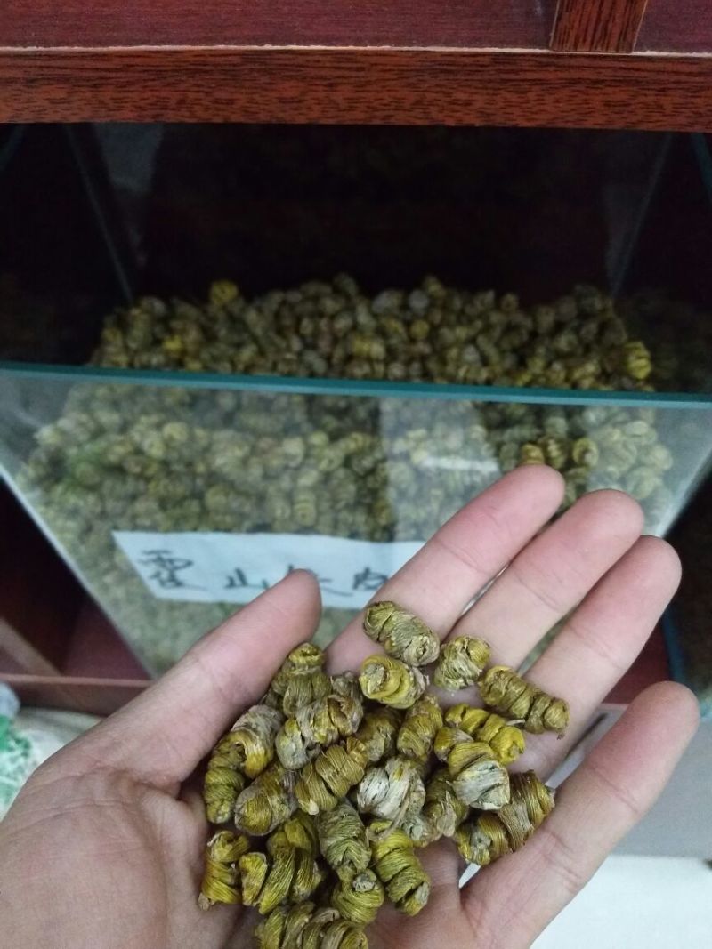 铁皮石斛枫斗“春喝一杯斛润养一整年”好斛知时