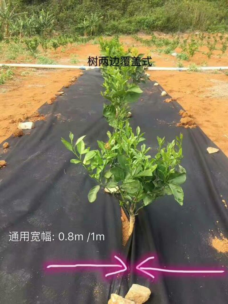 生态除草布