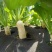 生态除草布