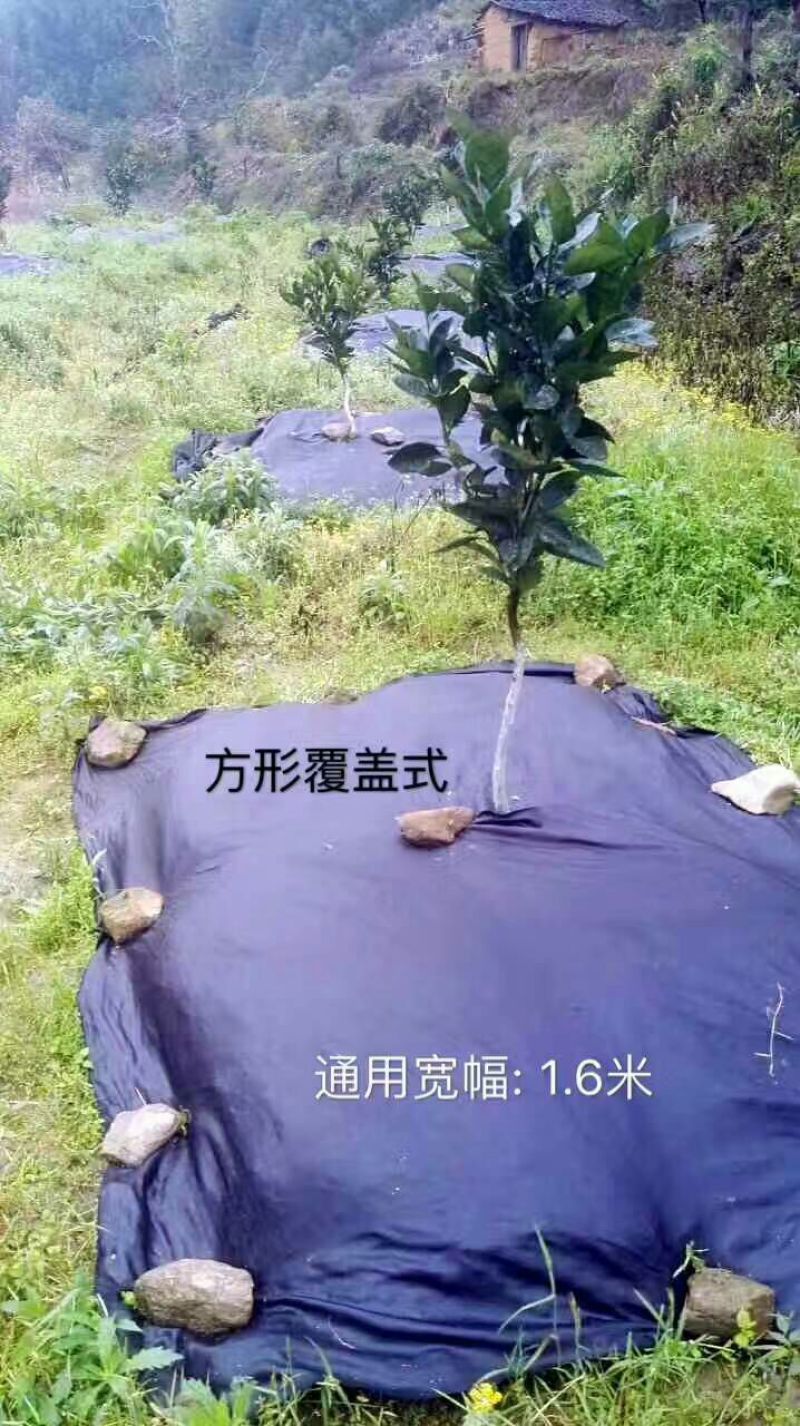 生态除草布