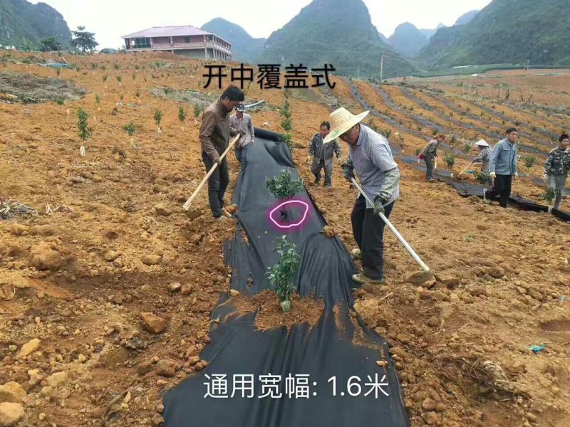 生态除草布