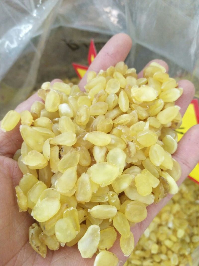 皂角米雪莲子贵州毕节双荚云南梁河单荚