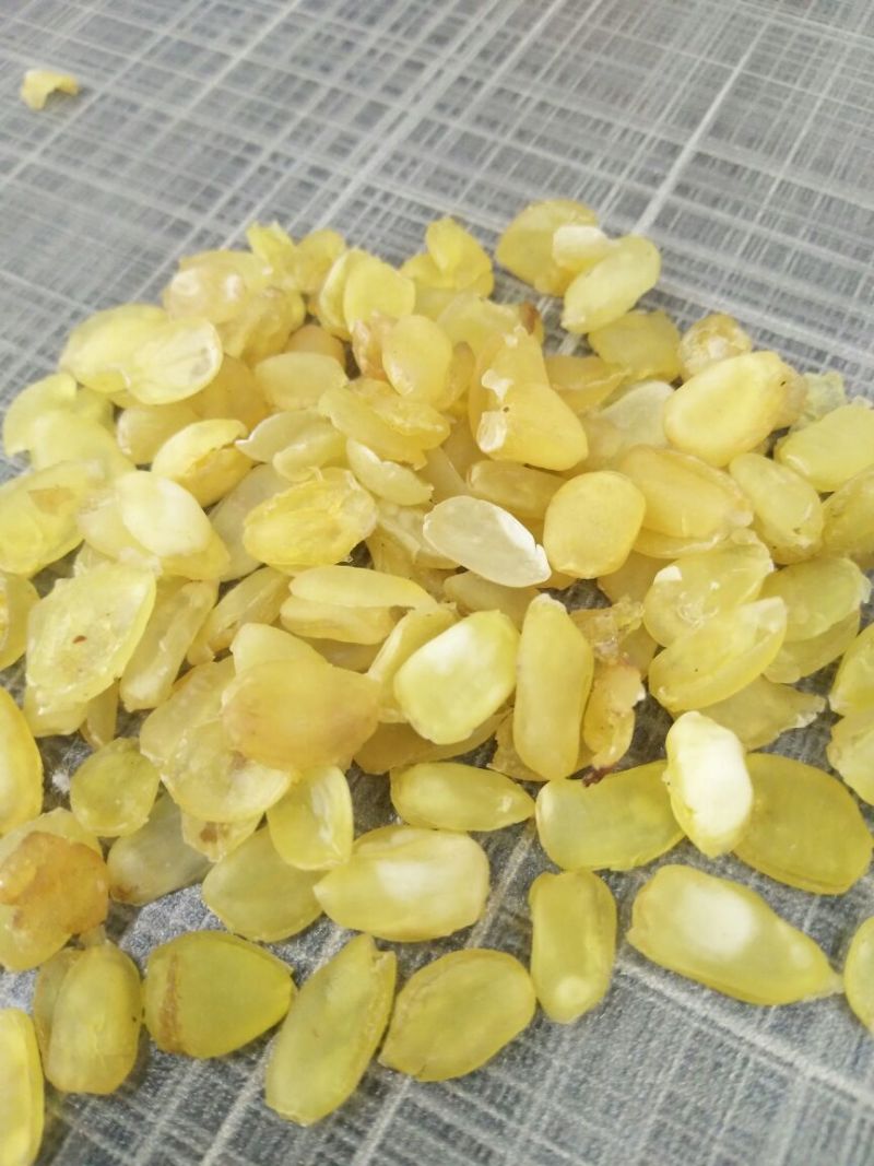 皂角米雪莲子贵州毕节双荚云南梁河单荚