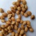 樱桃种子2019年山樱种子出芽率98高嫁接樱花品种用山樱
