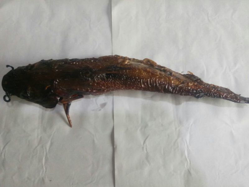 香酥鱼熏嘎鱼