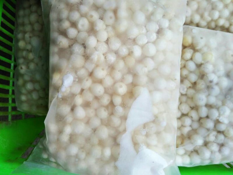 冰鲜苏芡手工米