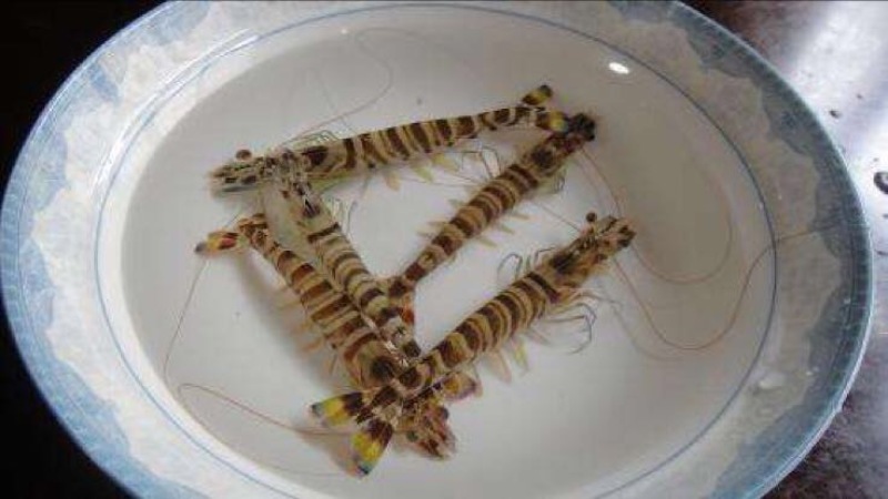 基围虾