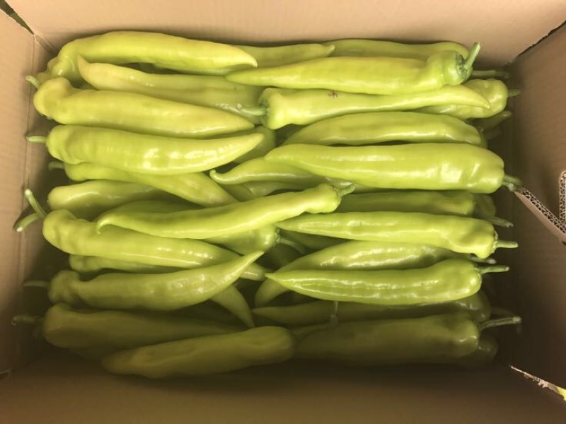 黄皮辣椒