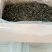 古树普洱茶特级