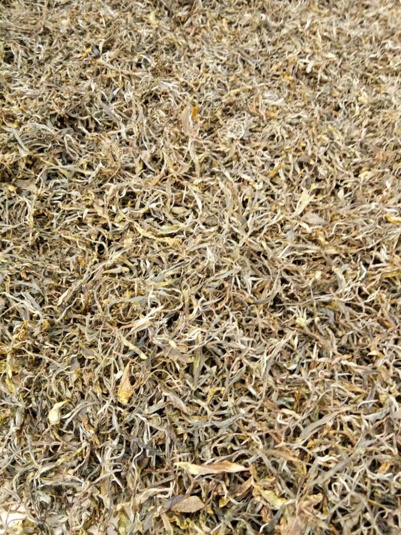 古树普洱茶特级