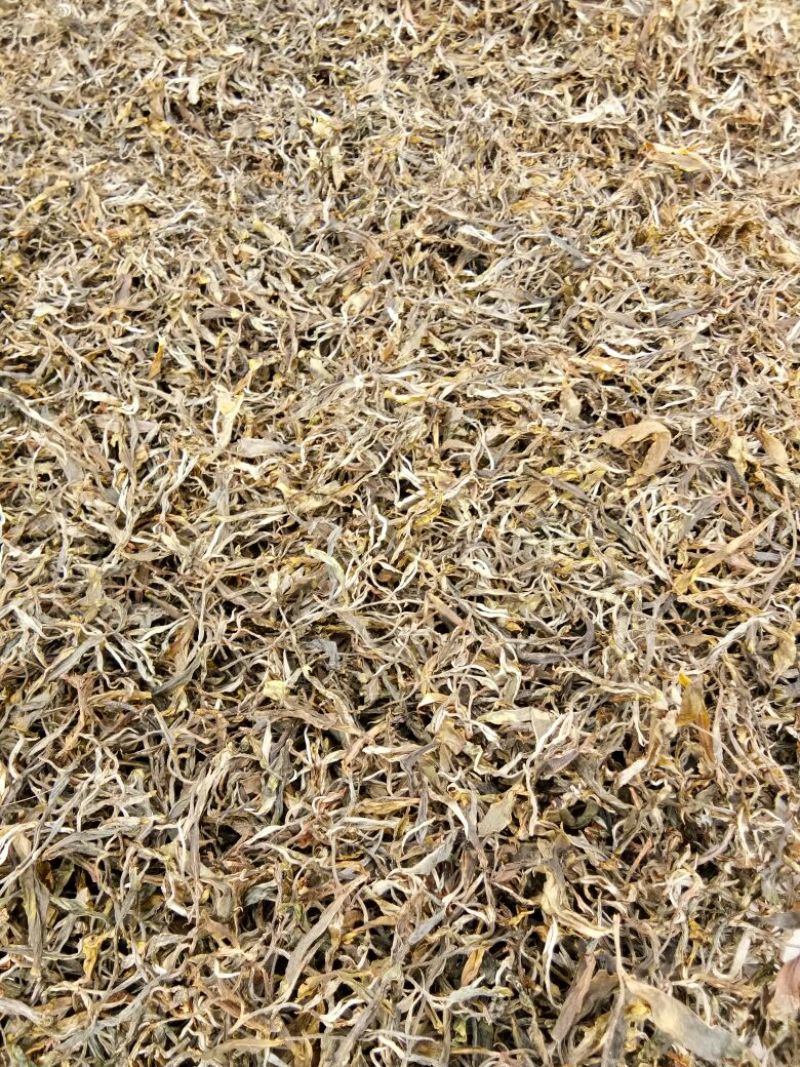 古树普洱茶特级
