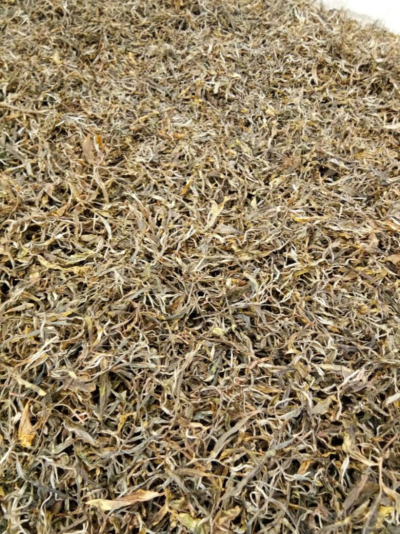 古树普洱茶特级
