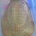 珍珠鳖