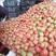 粉果番茄通货硬粉弧二以上超市加工厂大量上市欢迎咨询