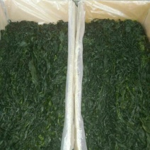 淡干裙带菜食用人工养殖