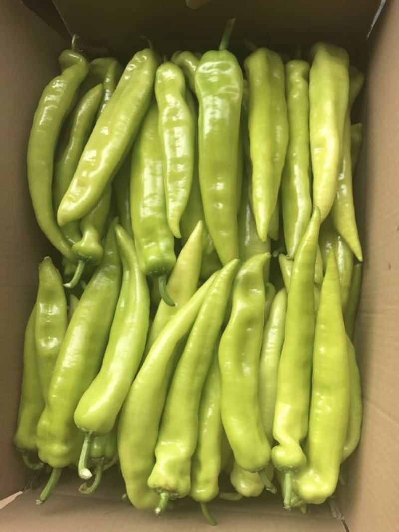 黄皮辣椒
