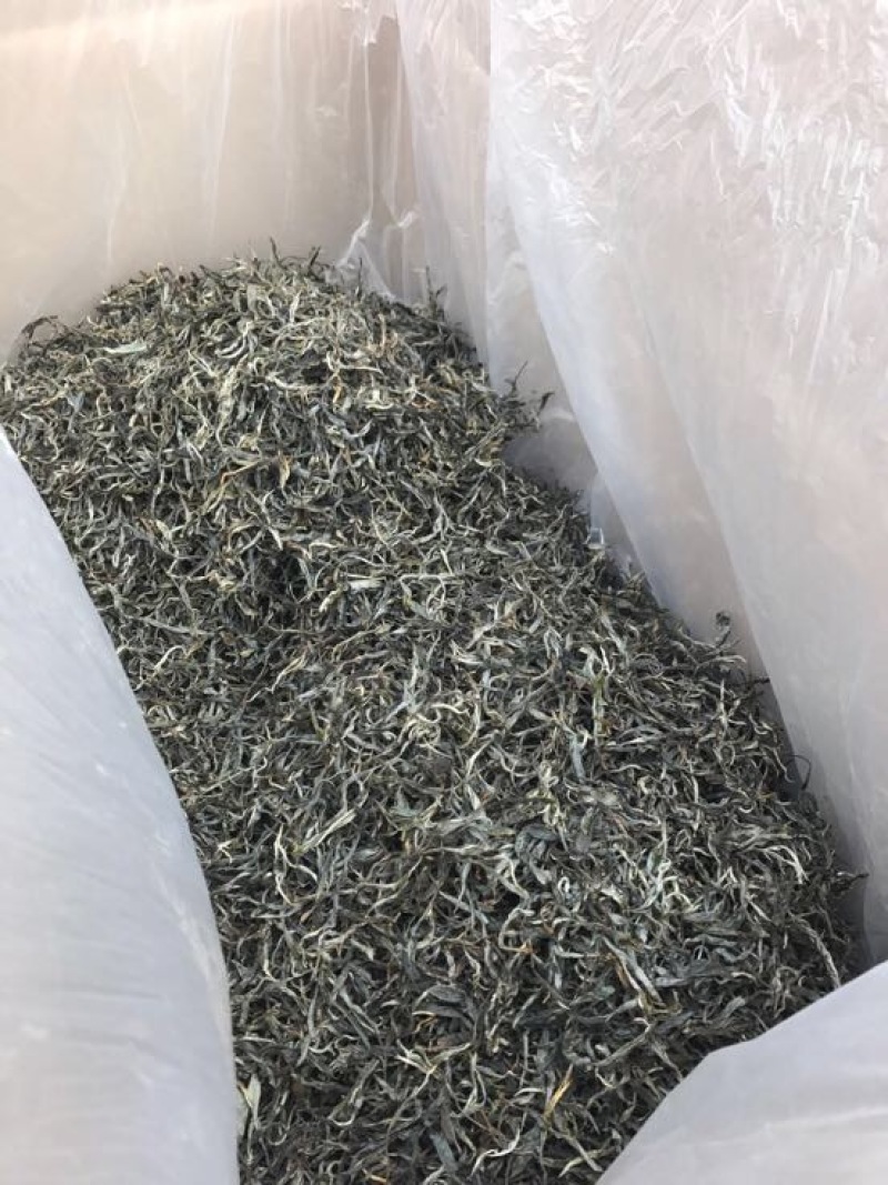 普洱茶